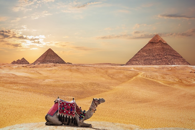 The Pyramid of Khafre and the Pyramid of Menkaure and a camel, Giza, Egypt.