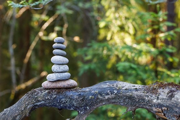 Pyramid stones balance on a tree trunk in the forest. Pyramid in focus, forest background is blurred.