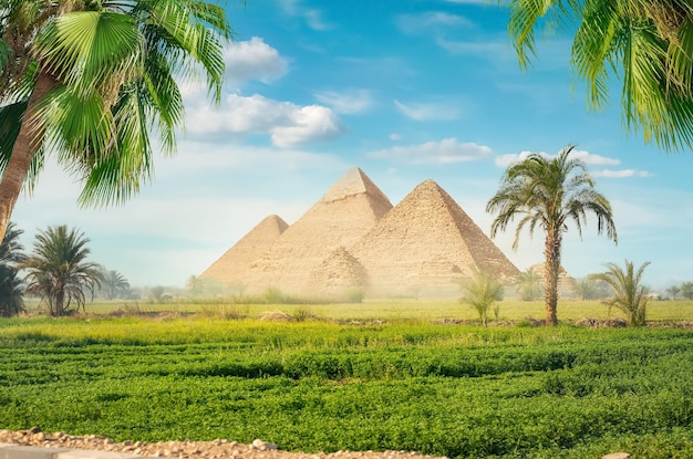 Pyramids in a green field