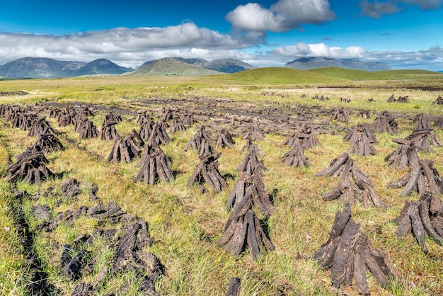 Pyramids of peat drying in the sun of Connemara