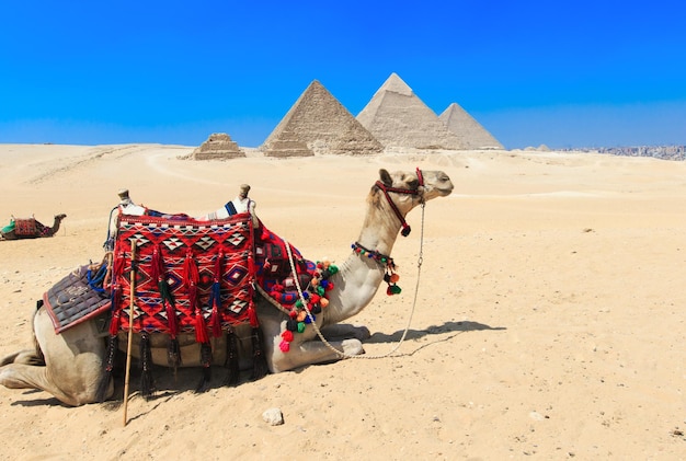 Piramidi con un bel cielo di giza al cairo in egitto