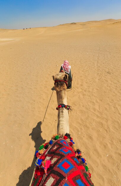 Piramidi con un bel cielo di giza al cairo egyptxaxa