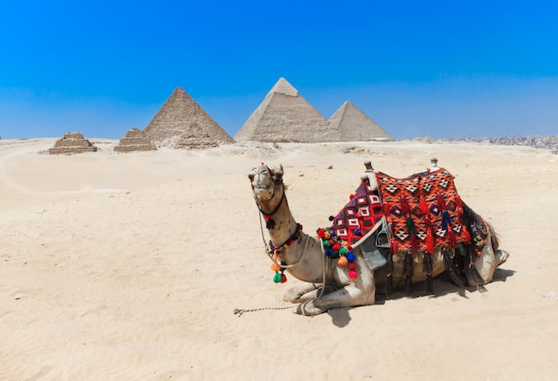 Pyramids with a Giza in Cairo, Egypt.