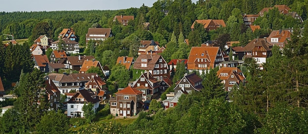 Qauint-dorp in Hartz Duitsland Een hoge hoekmening van een schilderachtig dorp Hartz Duitsland