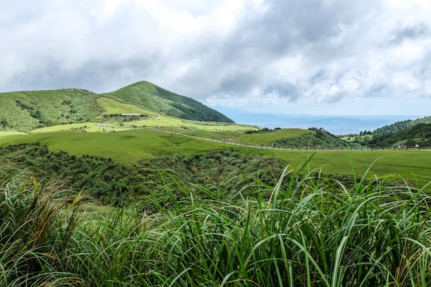 Foto qingtiangang grassland