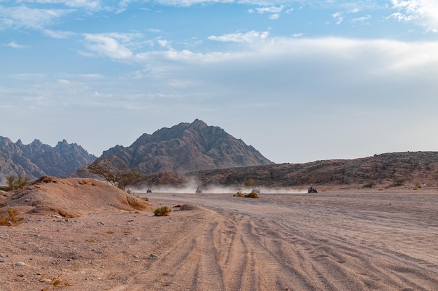 Quad biking in the desert