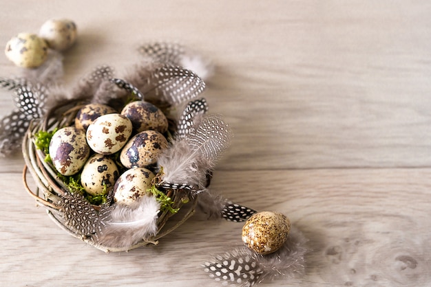 Фото Перепелиные пасхальные яйца и перо в птичьем гнезде на деревенском деревянном фоне