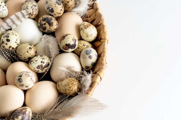 Quail Easter eggs and feathers on white background.