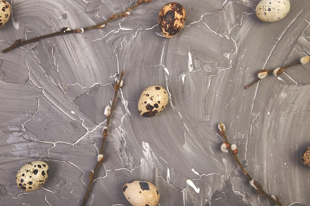 Quail  Easter eggs on grey background with willow branch.