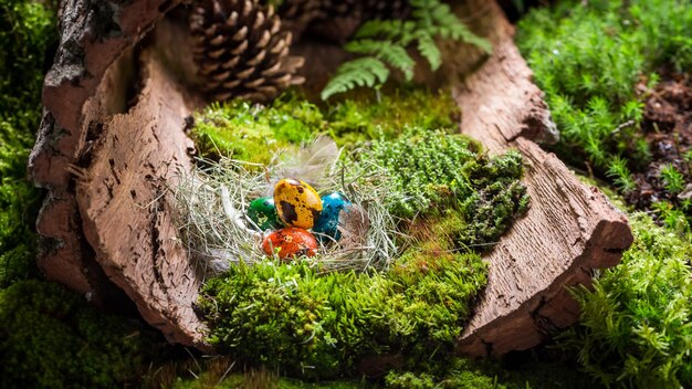 Quail Easter eggs in the nest with feathers