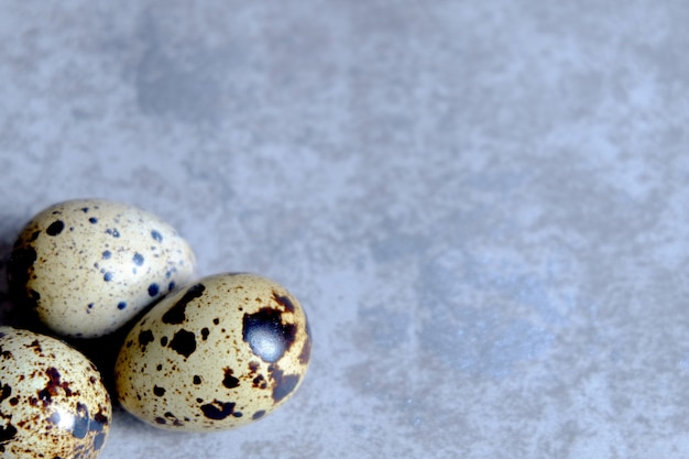 Uovo di quaglia sul fondo del cemento, uovo di quaglia su fondo concreat