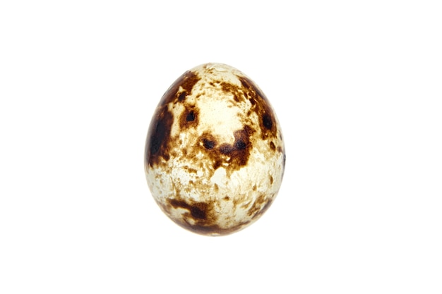 Quail egg isolated on a white background