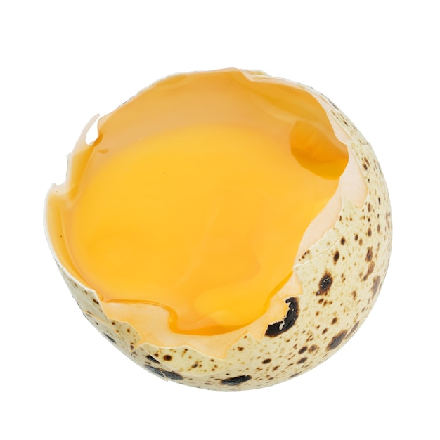 Photo quail egg isolated