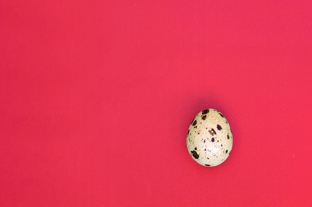 Quail egg on a red surface