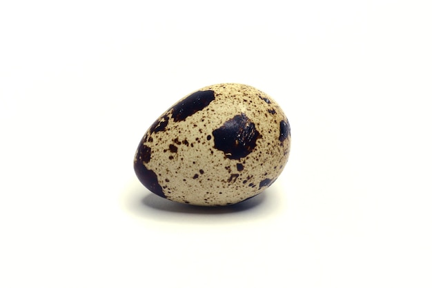 Quail egg on a white background Easter concept