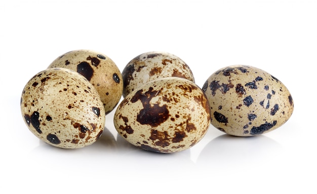 Quail eggs are on a white wall