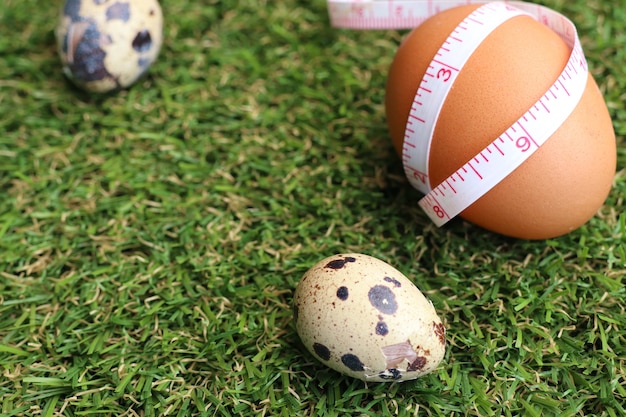 Quail eggs on artificial grass