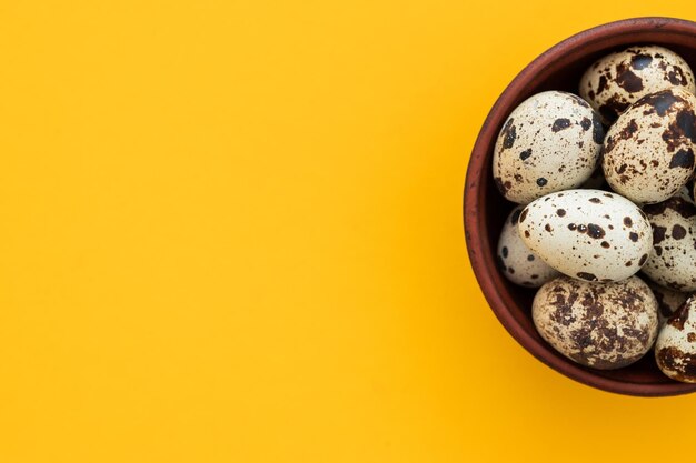 Quail eggs on a background Natural products Place for text Fresh quail eggs