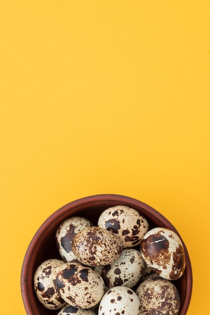 Quail eggs on a background Natural products Place for text Fresh quail eggs