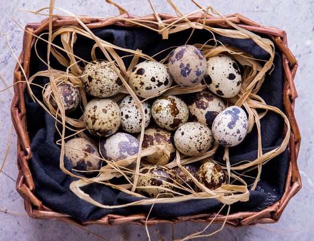 Quail eggs in the bascket flat lay