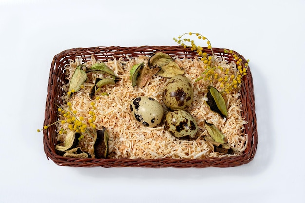 Quail eggs in a basket on a white background