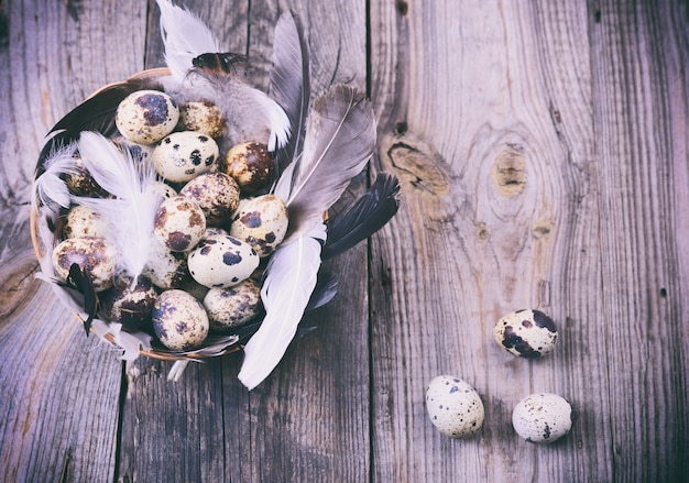 Quail eggs in a basket with feathers 