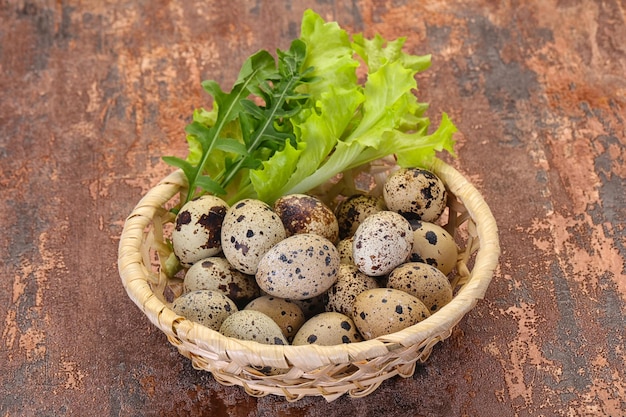 Quail eggs in the basket