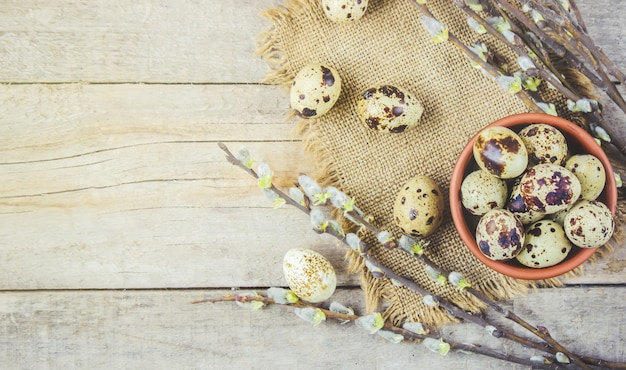 Quail eggs on a beautiful spring background. Selective focus.