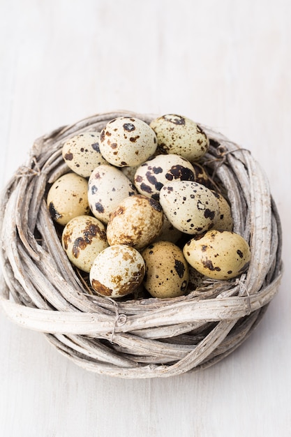 Quail eggs of birds nest Easter composition