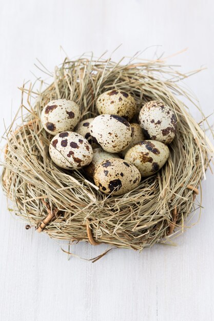 Quail eggs of birds nest Easter composition