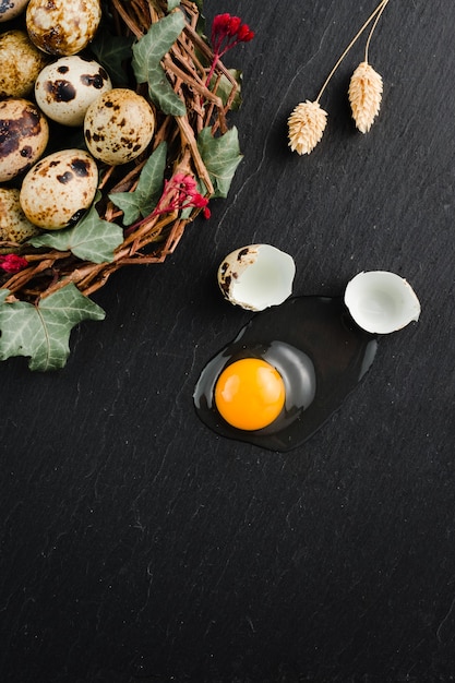 Quail eggs on black stone background, broken, cracked quail egg, yolk of quail egg. Organic product.