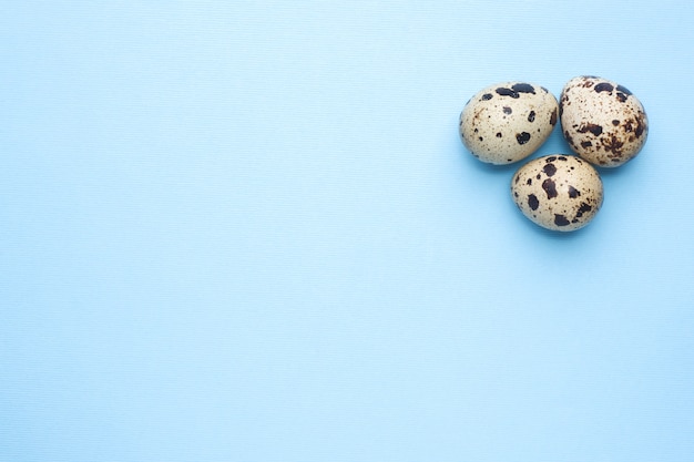 Quail eggs on blue background with copy space.