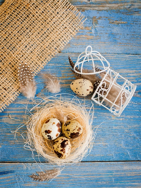 Quail eggs on a blue wooden background