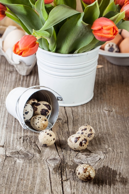 Quail eggs and bouquet of red tulips