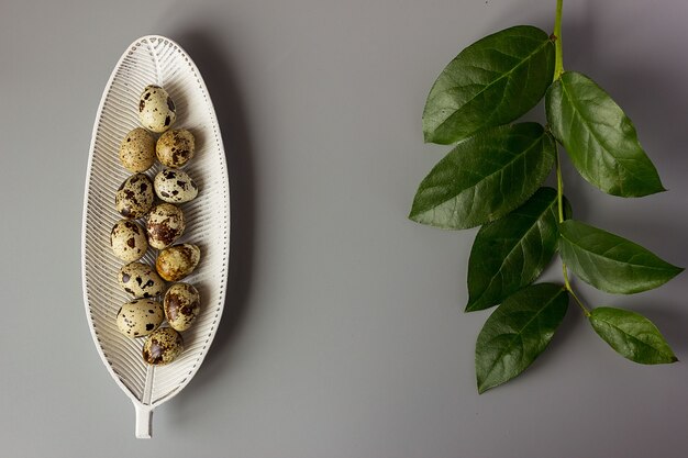 Quail eggs in a burlap nest, next to a tree branch. elegant Easter background, place for text, selective focus.