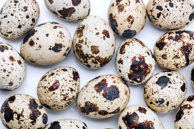 Quail eggs close up on white background