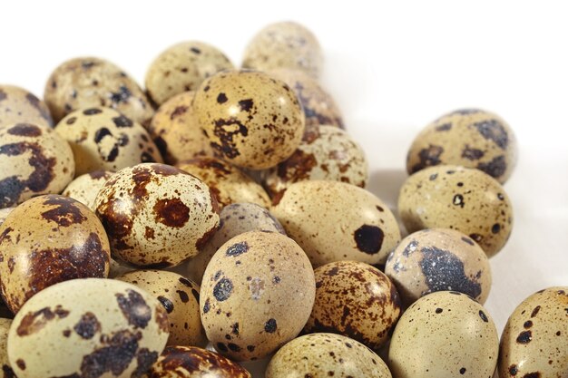 Quail eggs close up on a white