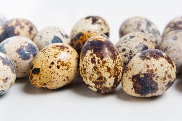 Quail eggs close up