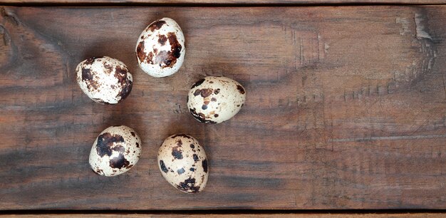 Quail eggs on a dark brown wooden surface