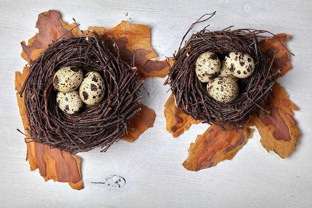 Quail eggs in decorative nests on a pine bark, on a white wooden table