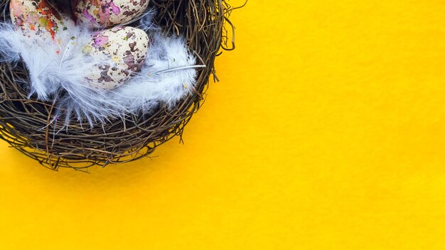 Quail eggs and feathers in a nest on a yellow felt fabric copy space easter background