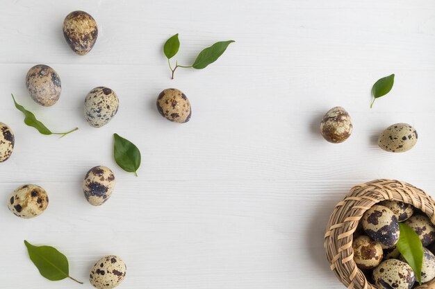 Quail eggs and fresh green leaves on a white background with space for text Easter spring