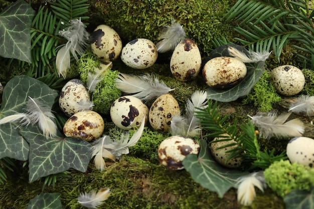 Uova di quaglia nell'erba su sfondo verde natura