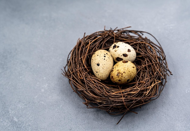 Quail eggs on a gray background proper nutrition diet food high
quality photo