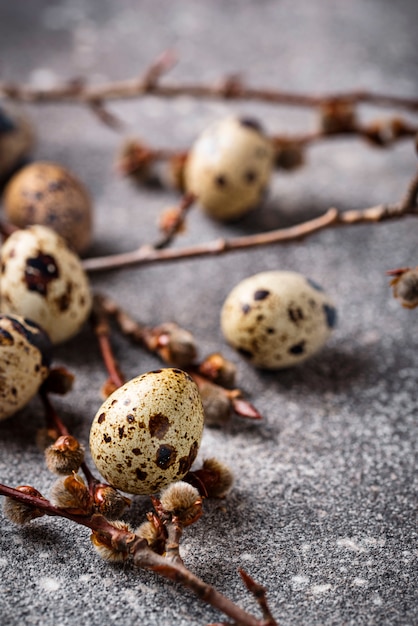 Quail eggs on grey  background