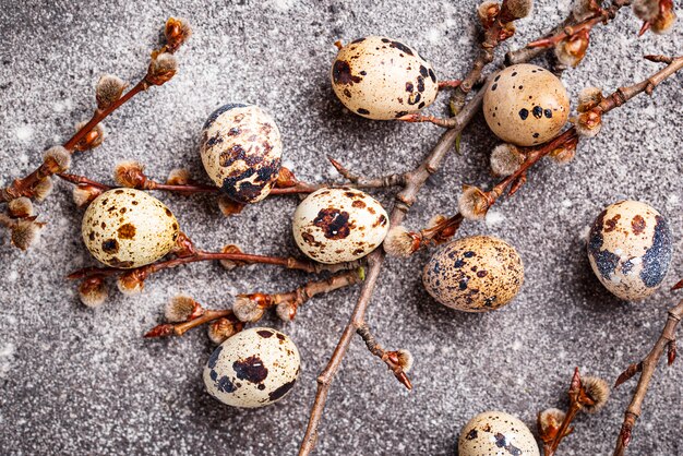 Quail eggs on grey  background