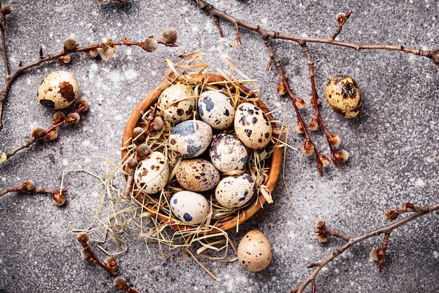 Quail eggs on grey  background