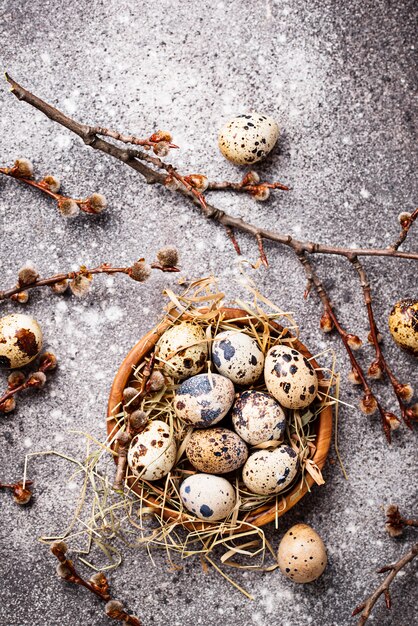 Quail eggs on grey  background