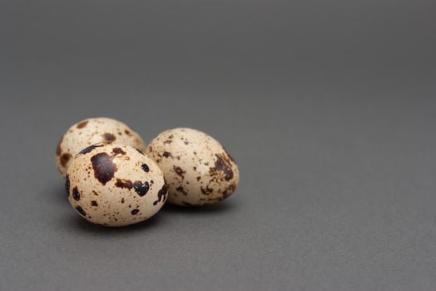 Quail eggs on grey