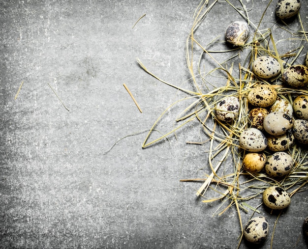 Quail eggs in hay on stone table.